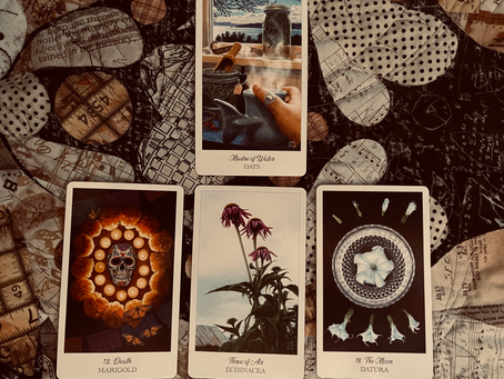 Iris X Reading of the Week/Week beginning on 7/4/22: