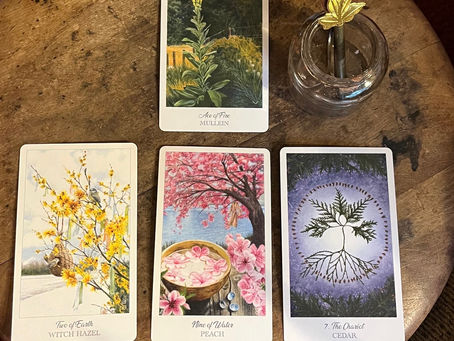 Iris X reading of the Week/week beginning on 4.3.23: