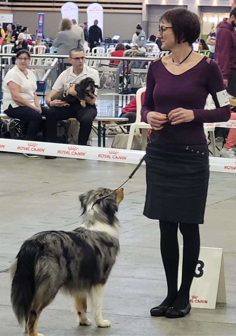 Berger australien femelle et sa maîtresse en concours canin