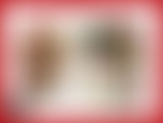 deux bergers australiens amoureus