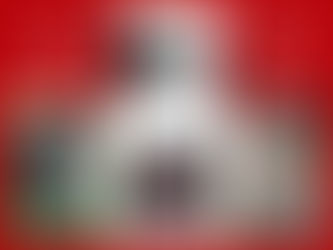 Nouveaux-nés bergers australiens à l'adption