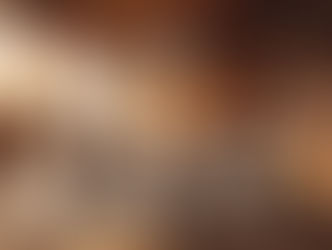 Le parc intérieur des chiots