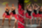 Gala de danse 2024