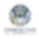 Main Logo_edited_edited