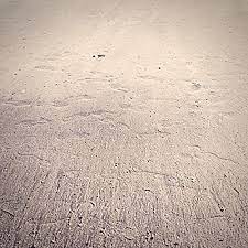 &mkz Footprint「Pluse feat.Jun Futamata」