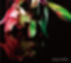 note native / Luminous