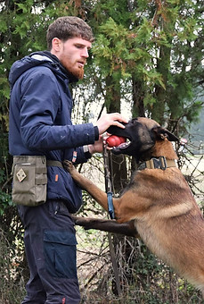 rapport du jouet.jpg