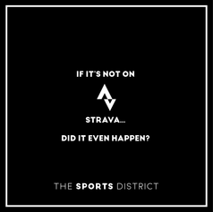 tsd-ig-quotes-02.png