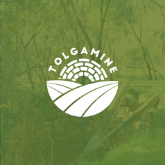 tolgamine-socials-06.png