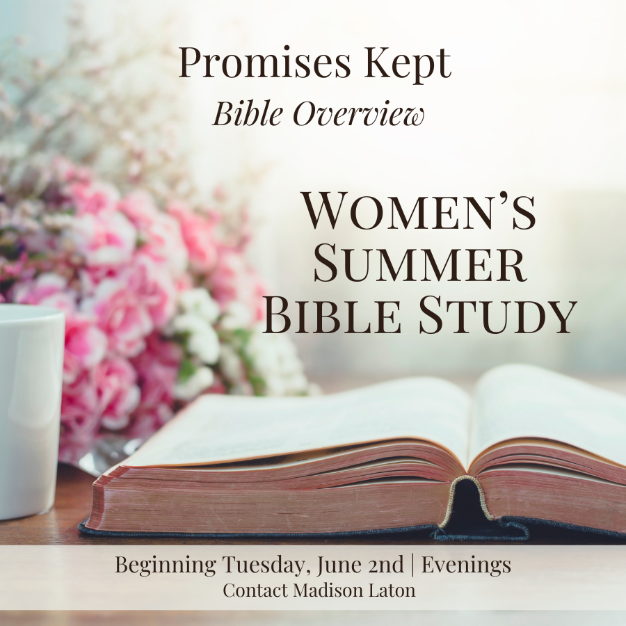 Summer Evening Women's Bible Study