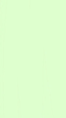 Verde - plano de fundo.jpg