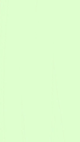 Verde - plano de fundo.jpg