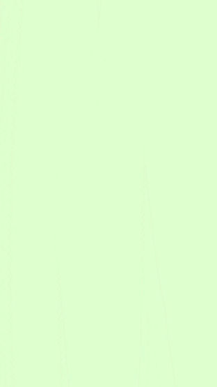 Verde - plano de fundo.jpg