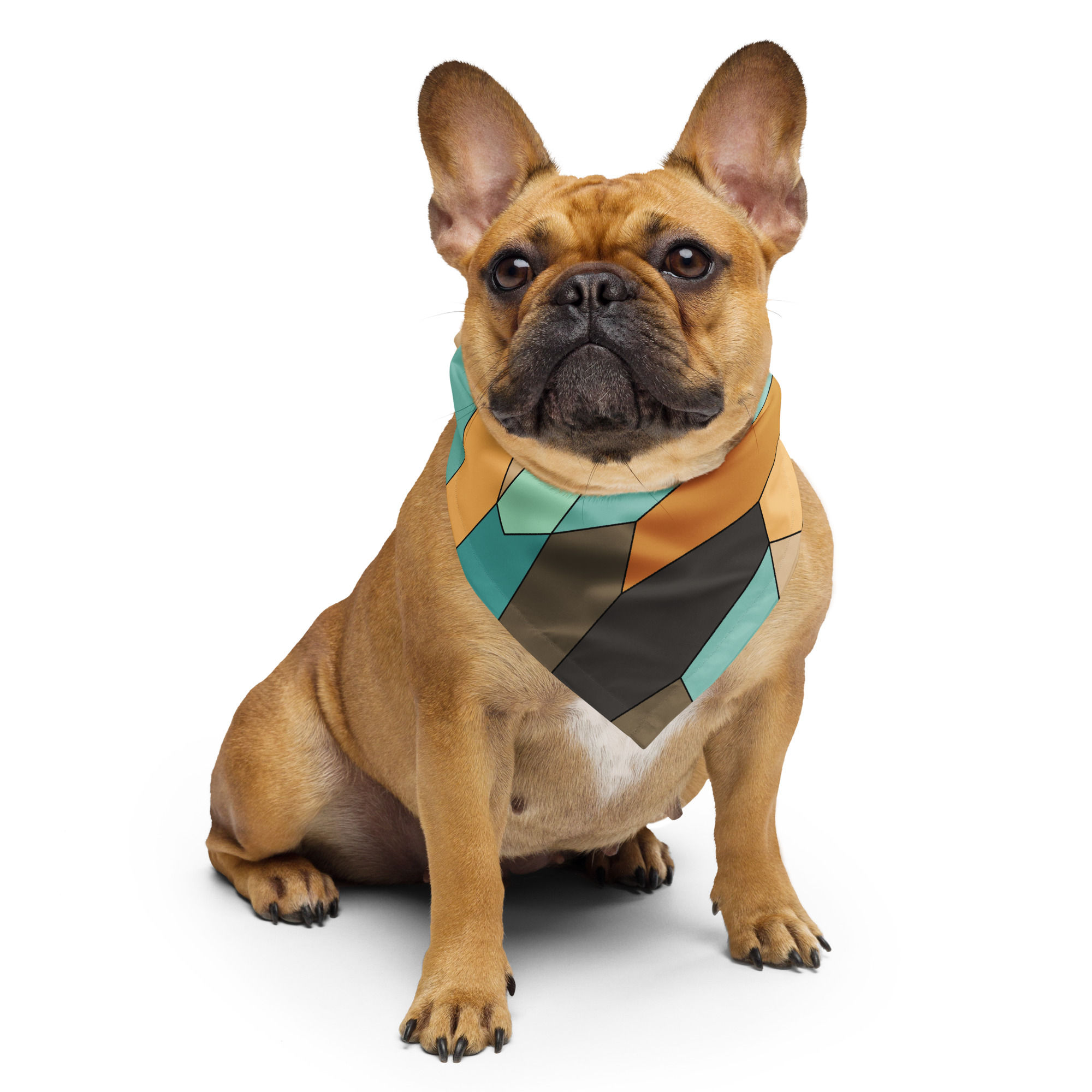 Zivelus All-over print bandana