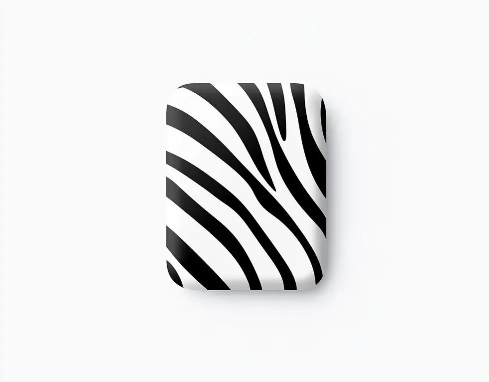 "The Zebra" 14 ab