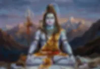 Shiva 39019 2.3