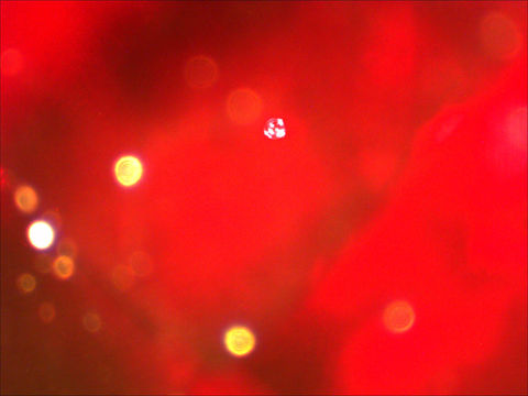 Perfectly round gas bubble in glass.