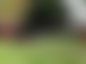 Livery Companies Unite in Remembrance at St Paul’s