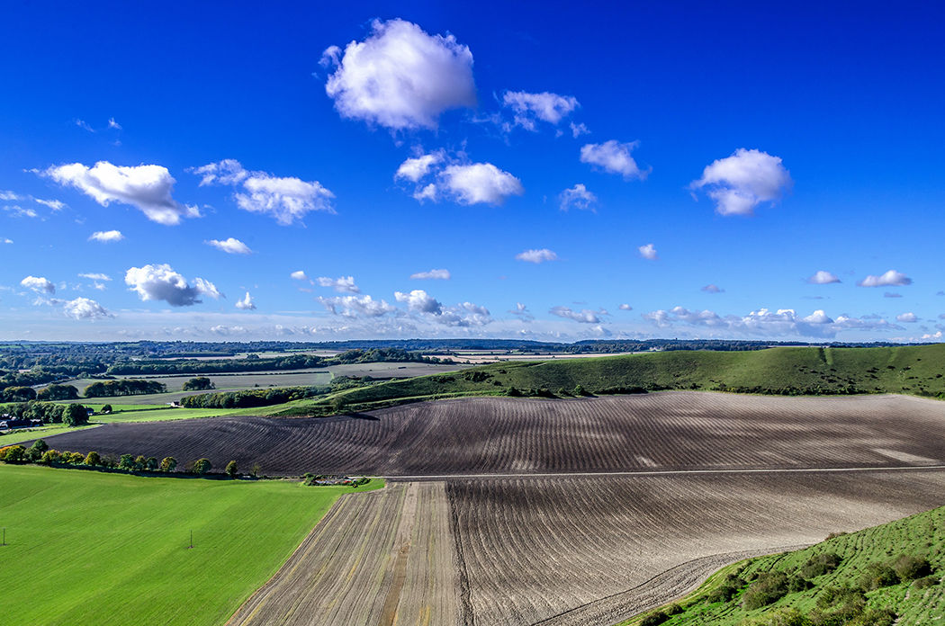 Fields Of Cloud, Colour