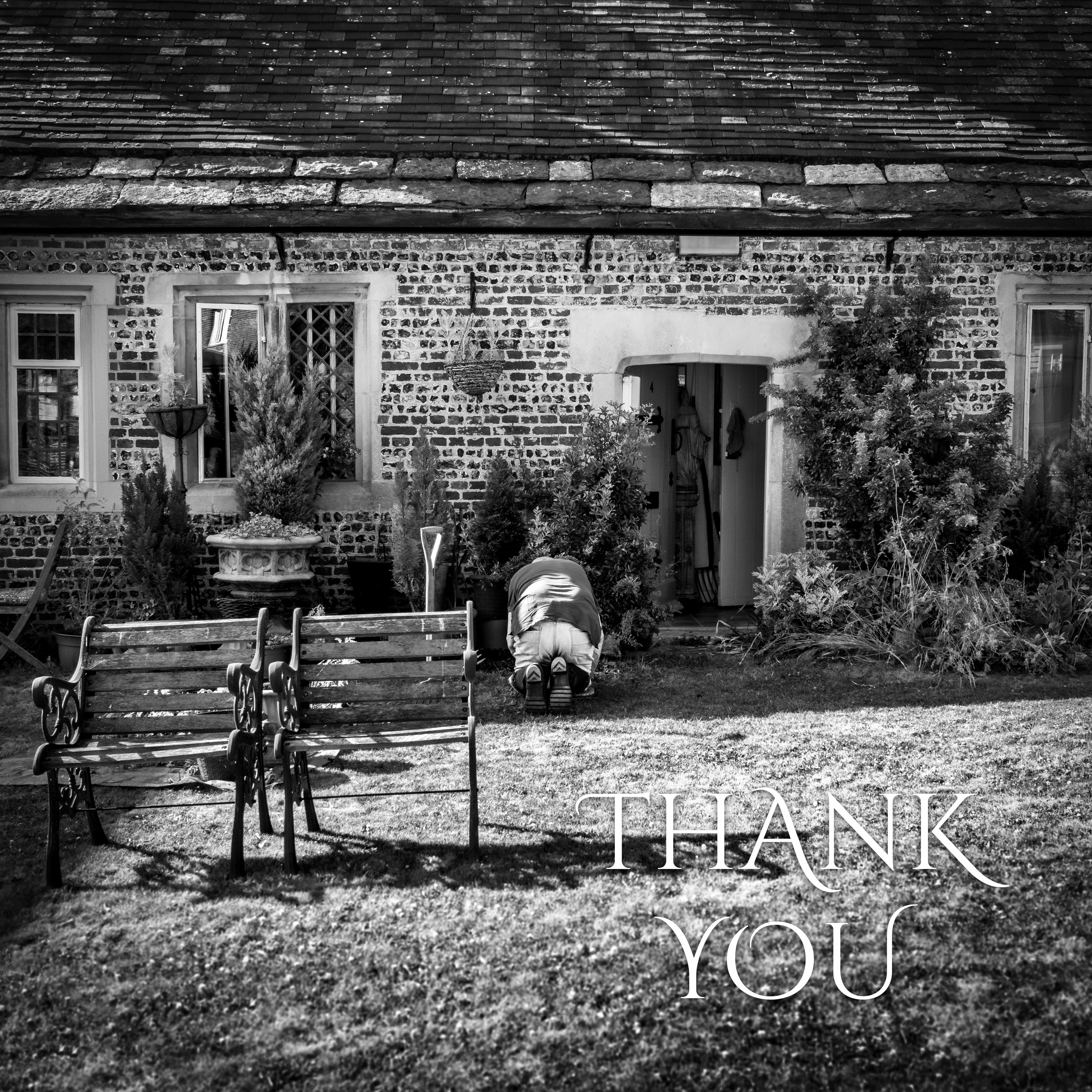 The Cottage Gardener