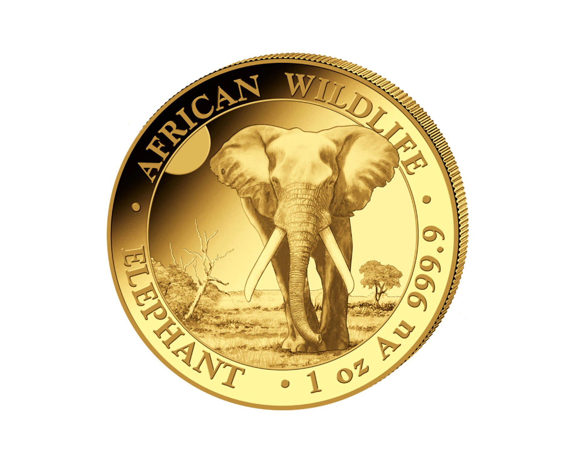 Somalijski Słoń 1oz - 2025
