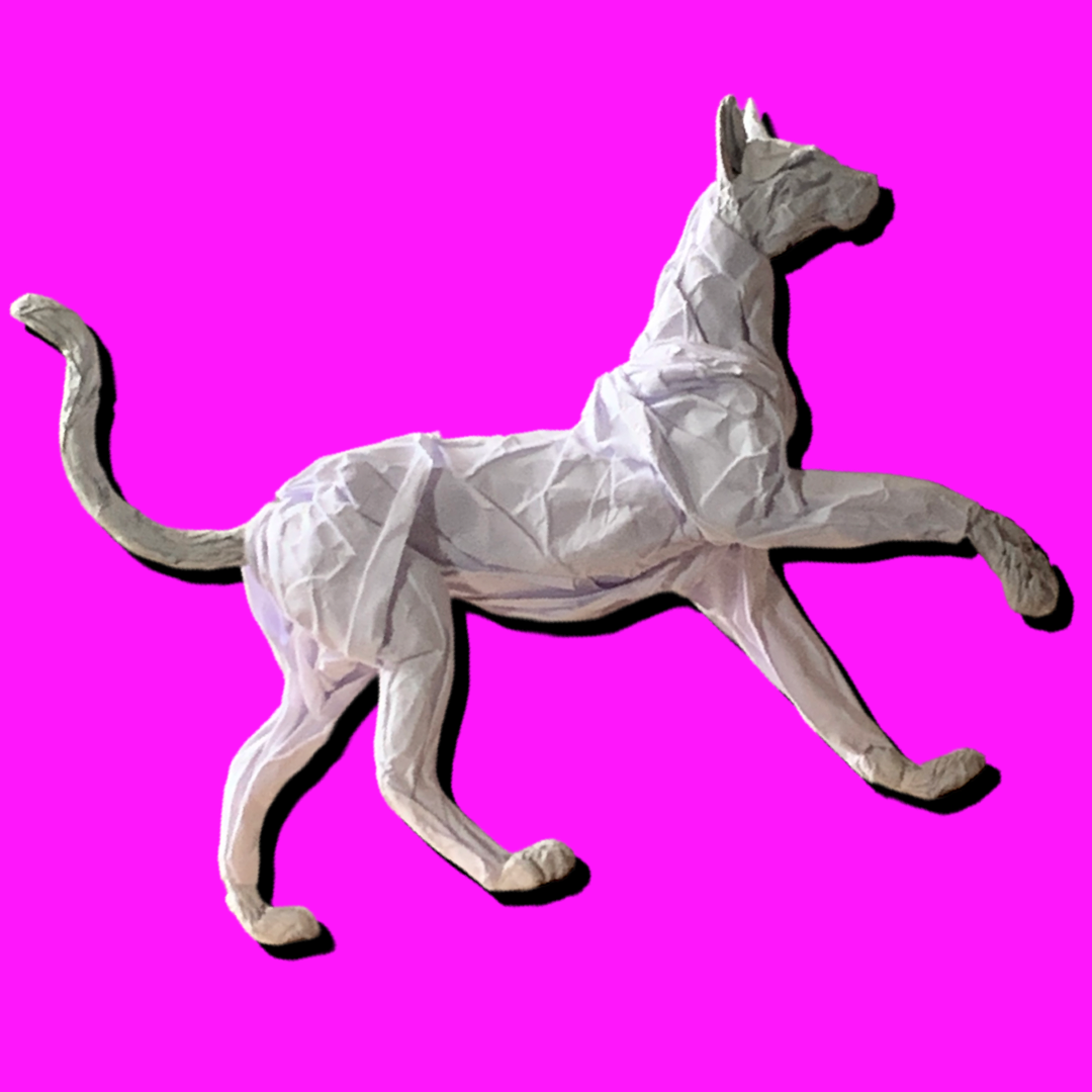 IMG_8125.PNG