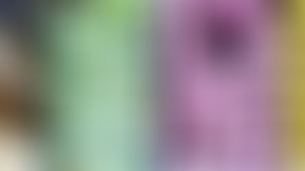 Navi Mumbai Food Festival