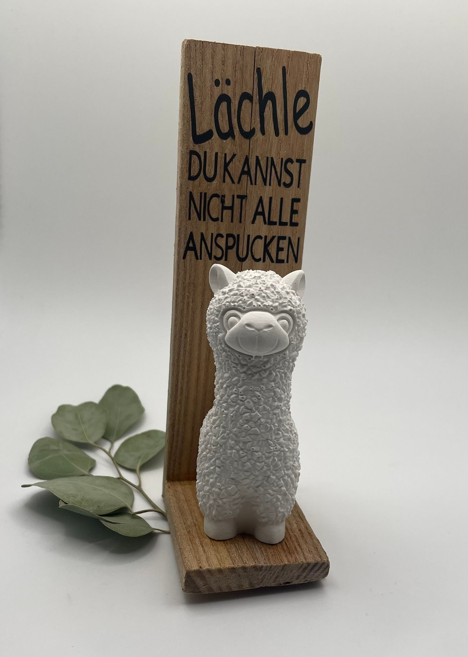 Deko-Alpaka "Lächle – Du kannst nicht alle anspucken" – Gips-Figur mit Holztafel