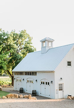 Amber Lynn Photography