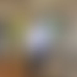 Shoulder and Rotator Cuff Workshop 09/18/2024