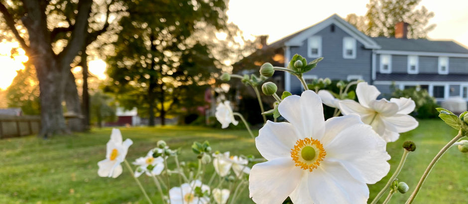 A Perfect 2 Night Itinerary for New Paltz, NY