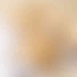 freshly made cranberry scones