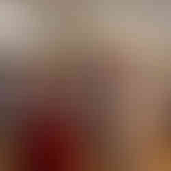 bookstore in new paltz