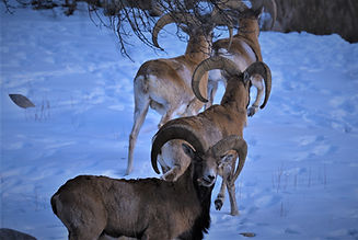 DSC_1323.JPG
