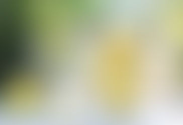 When Bylaw Officers Go Too Far