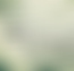 CHRT orders Bell Canada to pay woman $10k due to discrimination