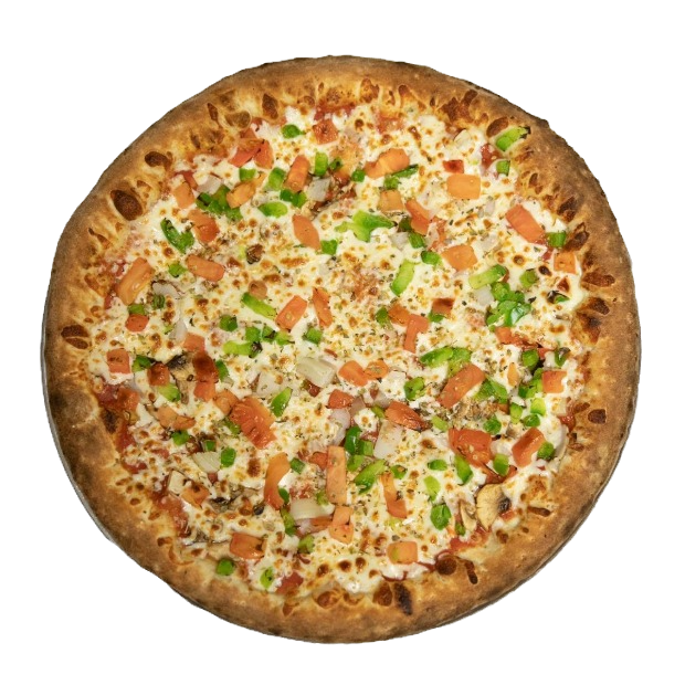 VEG_PIZZA_1712170506_edited.png