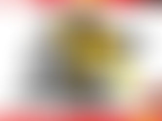 Layne Riggs becomes youngest NASCAR Advance Auto Parts Weekly Series Champion