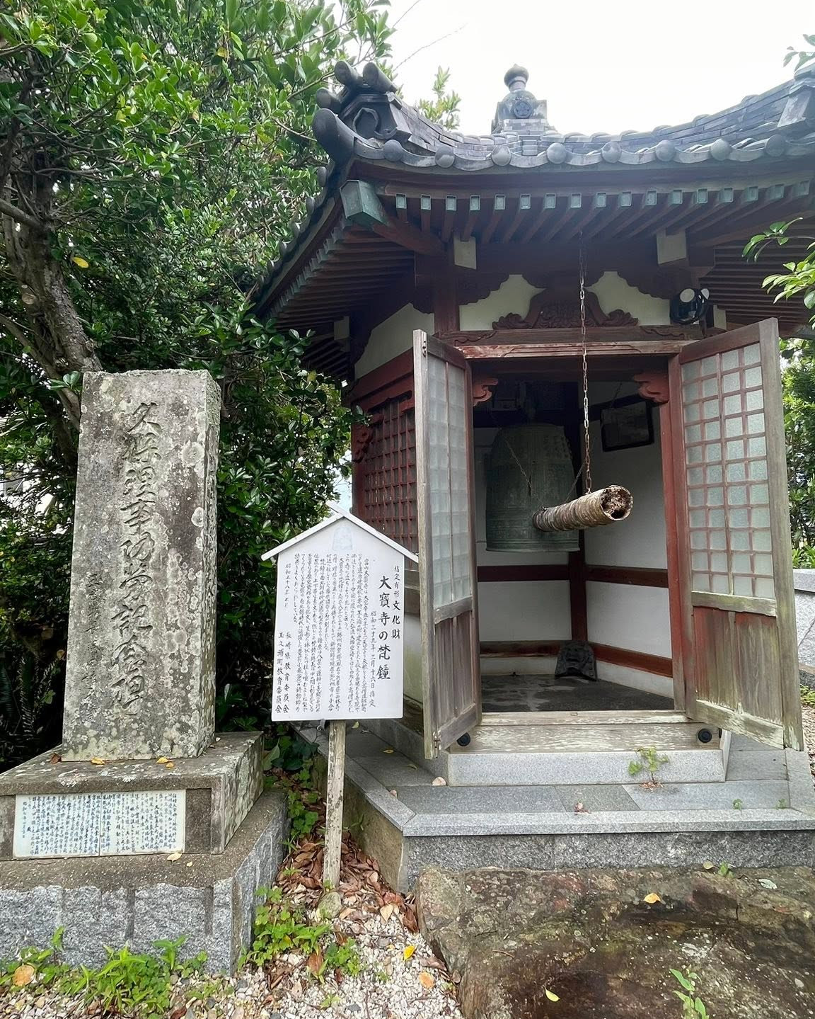 長蜘蛛網的國寶