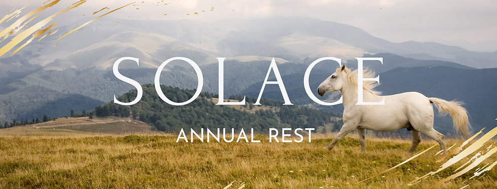 SOLACE webv2.png