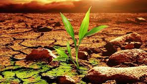 Taller de Cambio Climático