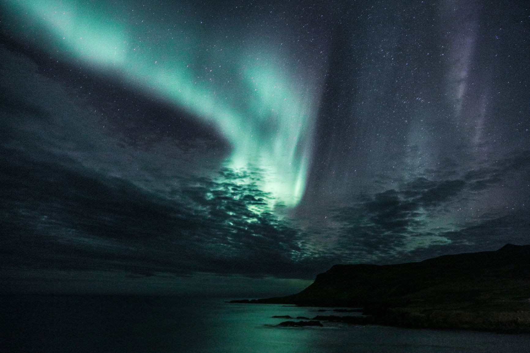 Jenna McInnes- Human Potential Coach logo