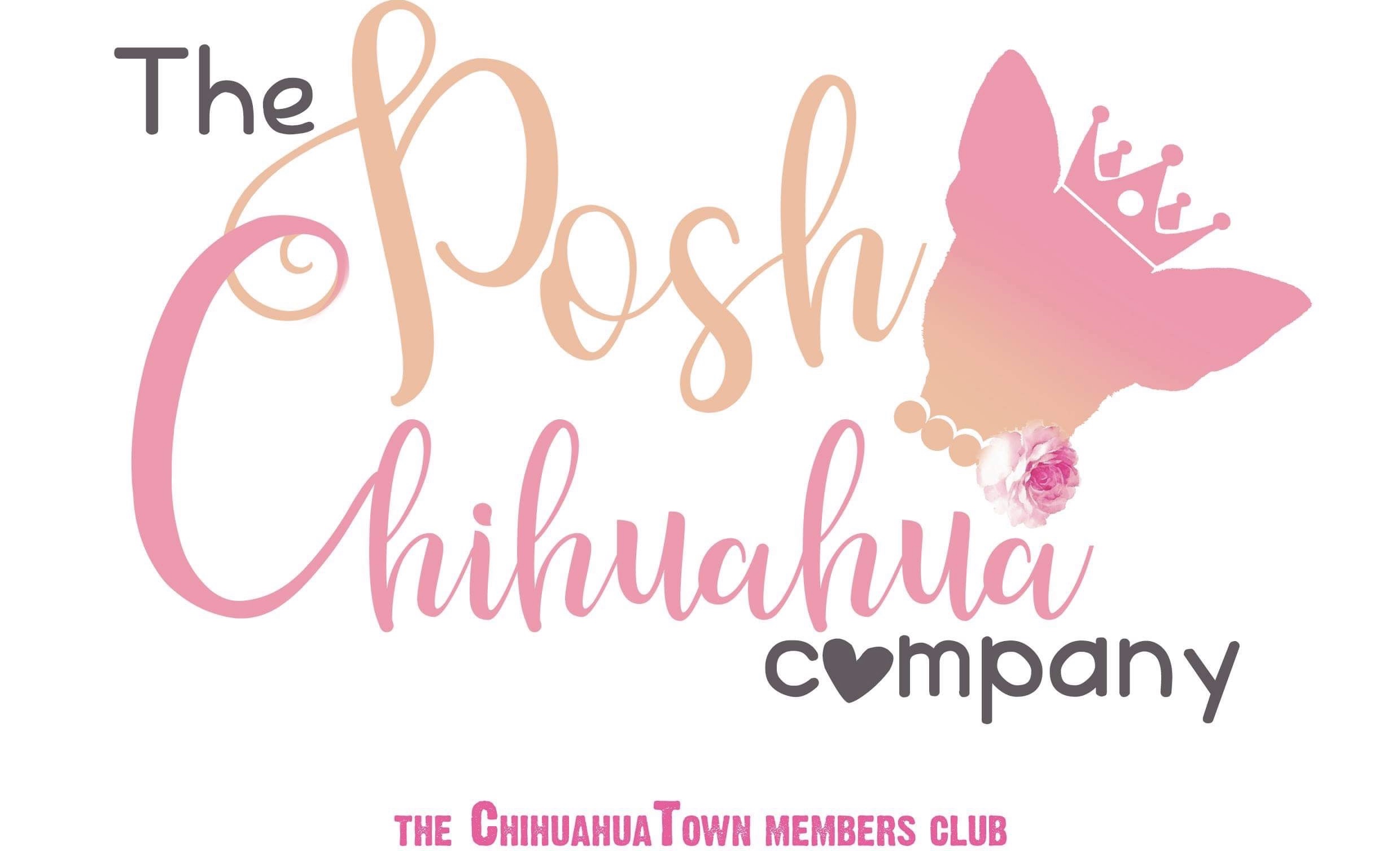 Writer: Kerry ChihuahuaTown
