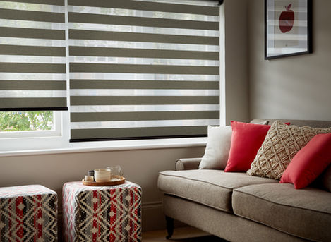Dual Shade Rebel Blinds Cork