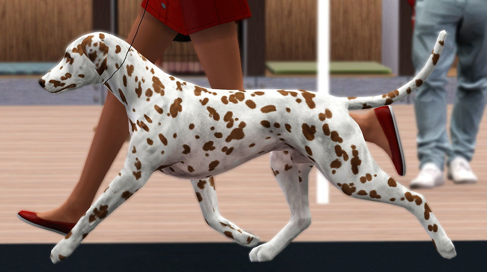 Screenshot-5