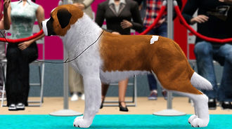 Screenshot-5.jpg