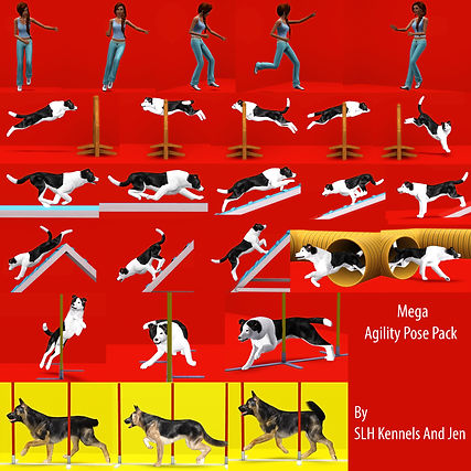Mega Agility Pose Pack.jpg