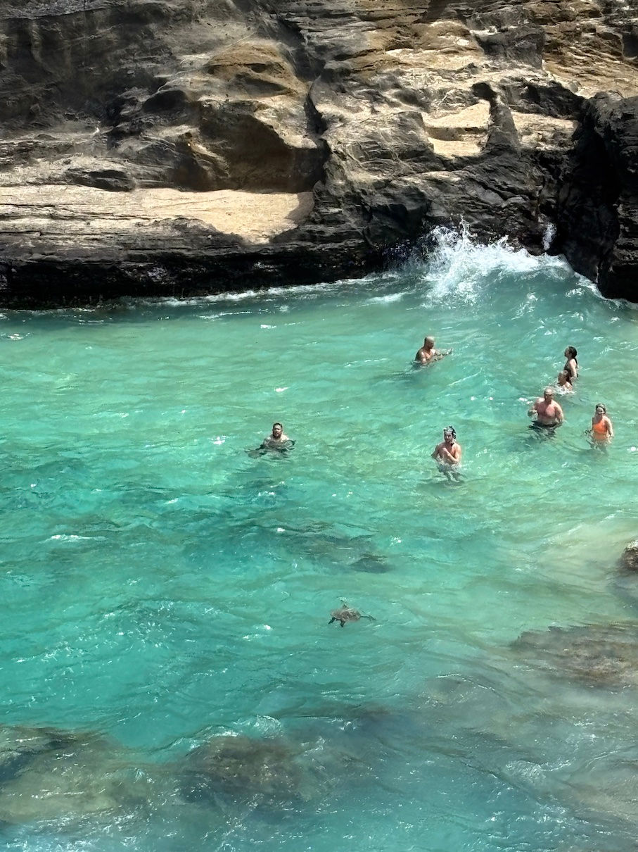 Swimming-with-sea-turttle-Oahu-Hawaii.jpg