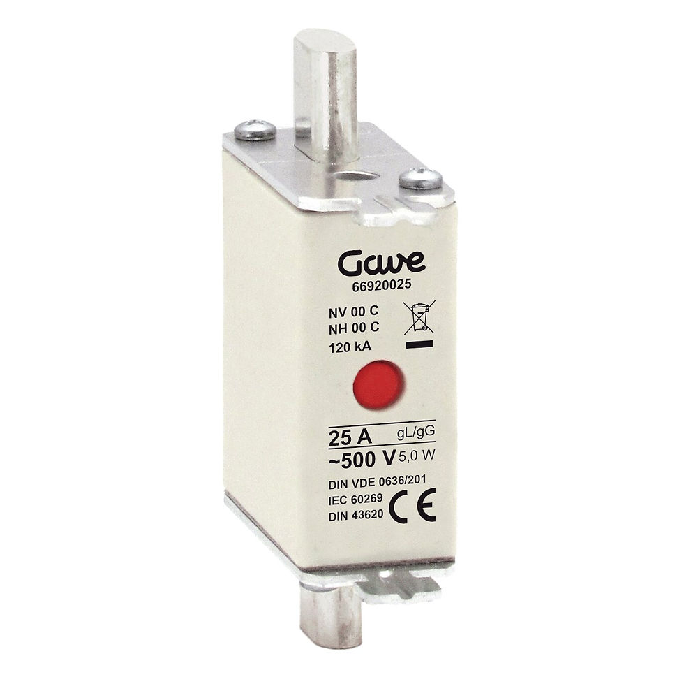 縮圖：GAVE NH 00 Fuse Link