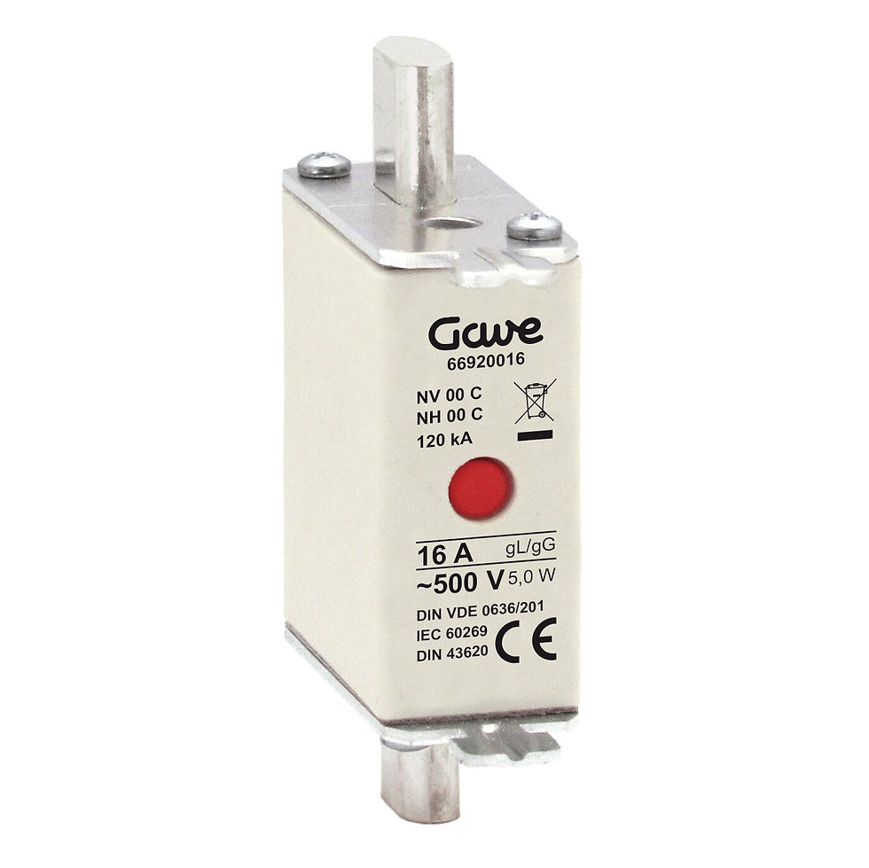 縮圖：GAVE NH 00 Fuse Link